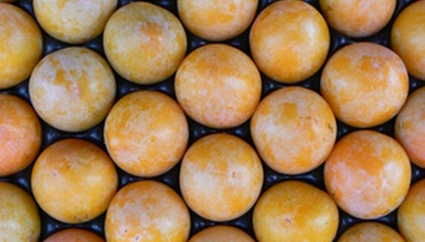 A variety of plums grow well in North Georgia. A variety of plums grow well in North Georgia.