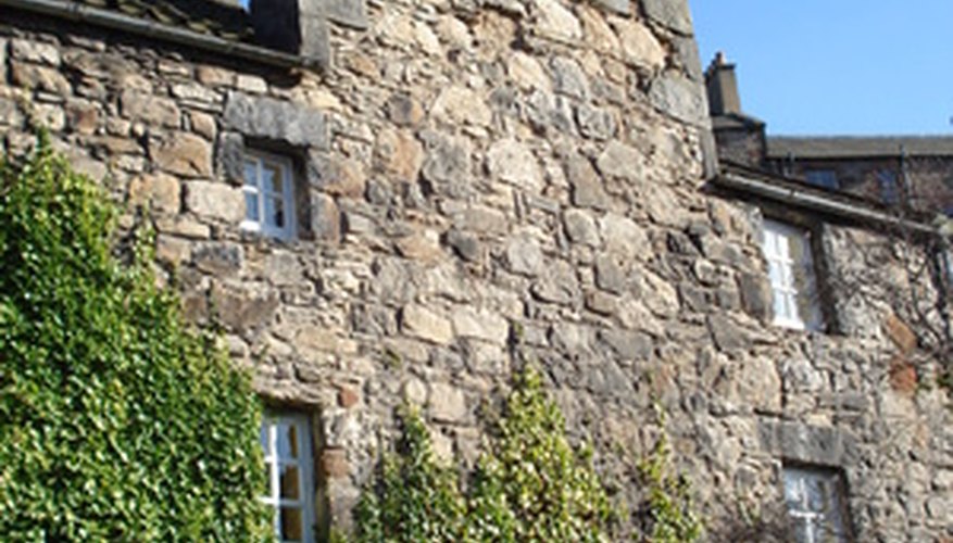 Ivy climbing up a stone wall Ivy climbing up a stone wall