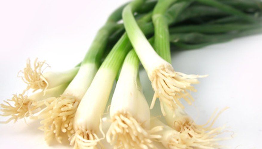 Scallions. Scallions.