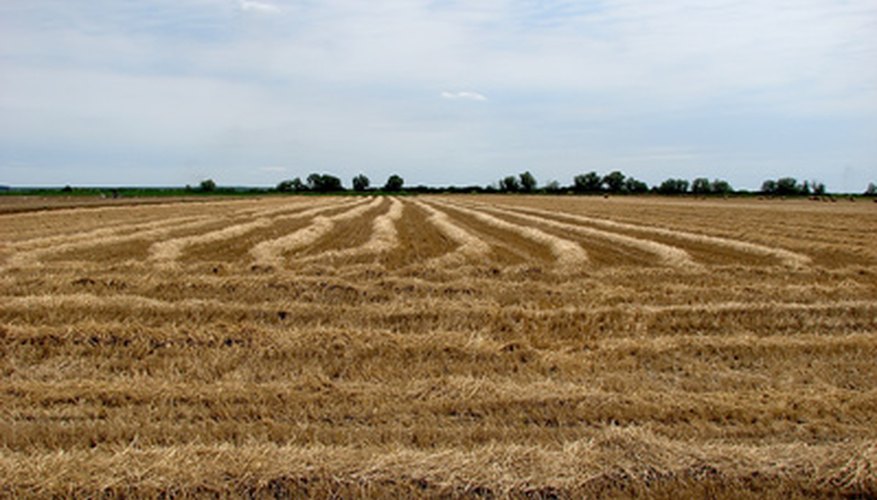 Roundup can cause long-term changes in the soil. Roundup can cause long-term changes in the soil.