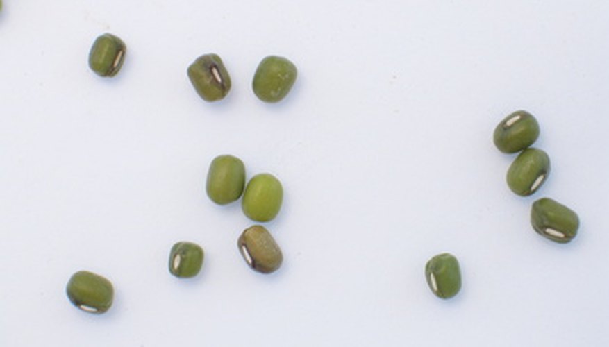 Mung beans Mung beans