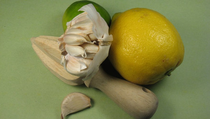 Garlic and lemon not only grow well together, but can be used consistently together in the kitchen. Garlic and lemon not only grow well together, but can be used consistently together in the kitchen.