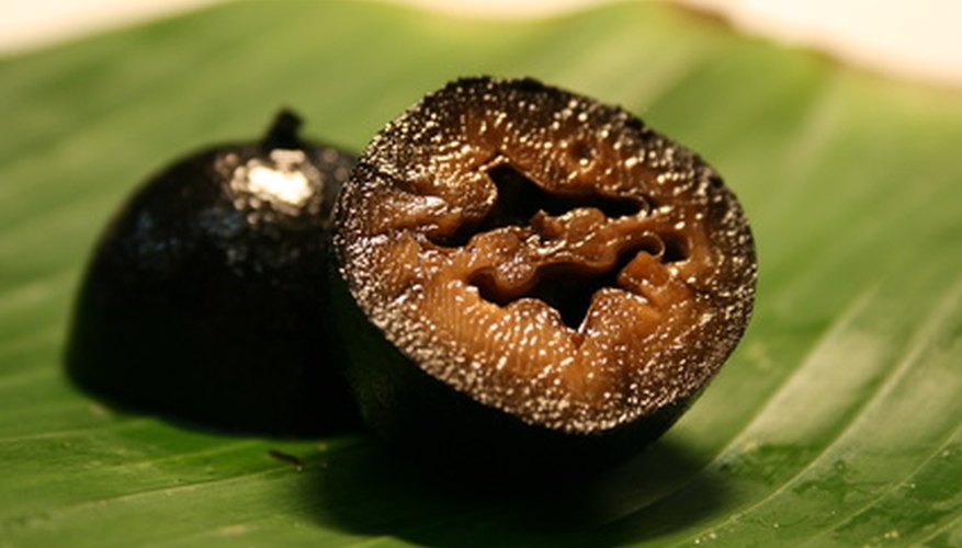 The fruit of a black walnut tree. The fruit of a black walnut tree.