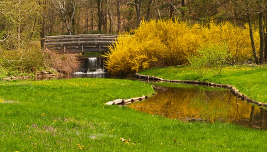 New Jersey natural landscape New Jersey natural landscape