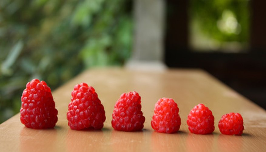 Raspberries vary in size. Raspberries vary in size.