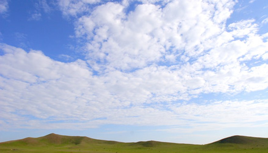 A wide-open green grassland A wide-open green grassland