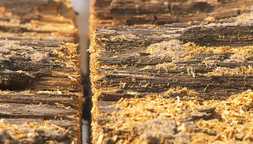 Compost your sawdust in small amounts. Compost your sawdust in small amounts.
