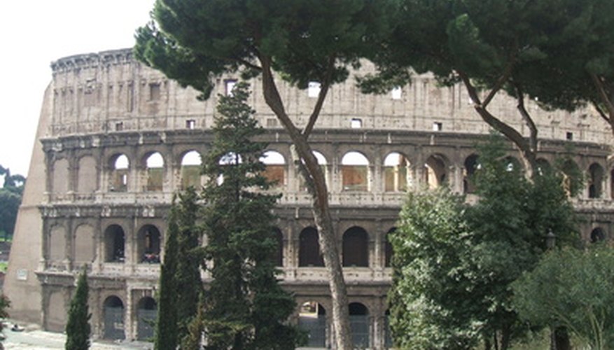 The pine trees of Rome are as much a part of the city as its ruins. The pine trees of Rome are as much a part of the city as its ruins.