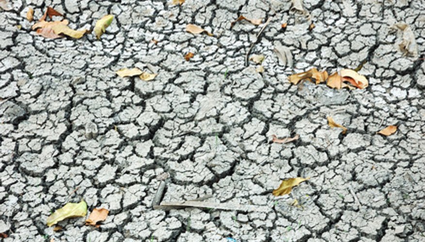 Silt in a dry river bed. Silt in a dry river bed.