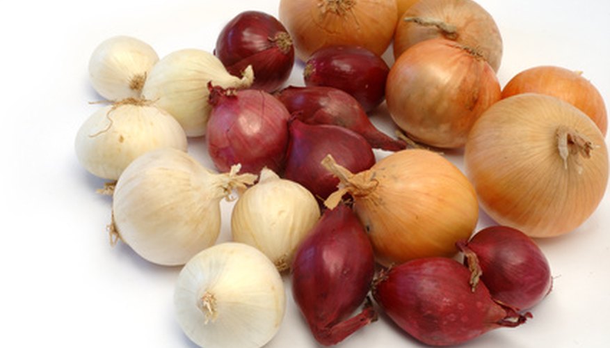 Onions can be grown from bulbs. Onions can be grown from bulbs.