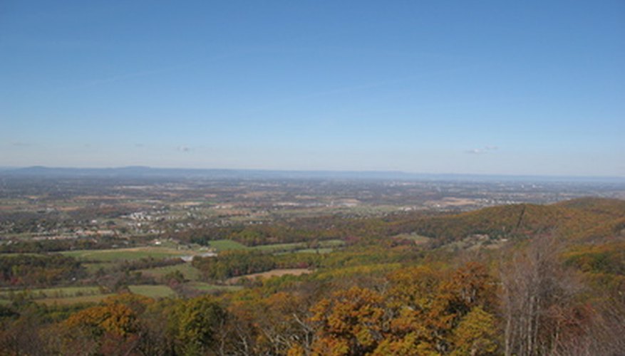 Maryland's countryside is home to hundreds of native plant species. Maryland's countryside is home to hundreds of native plant species.