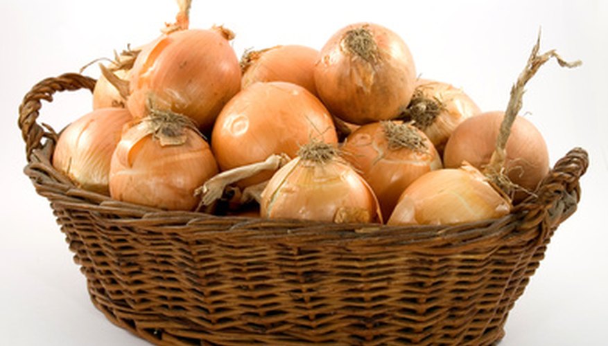 Onions require minimal care indoors. Onions require minimal care indoors.