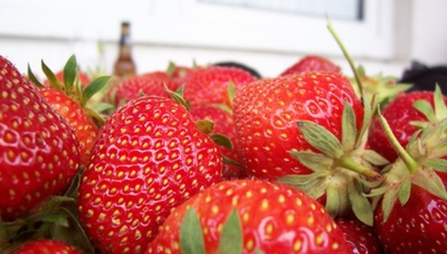Harvested strawberries Harvested strawberries