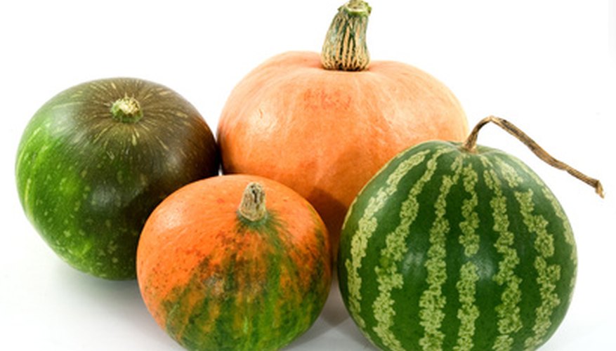 Pumpkins and melons are commonly grown in hills. Pumpkins and melons are commonly grown in hills.