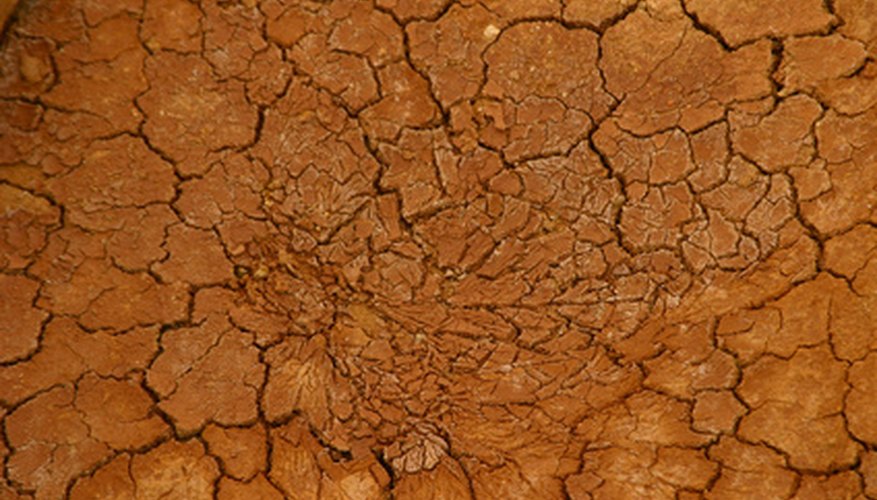 Clay dirt cracks during hot weather. Clay dirt cracks during hot weather.
