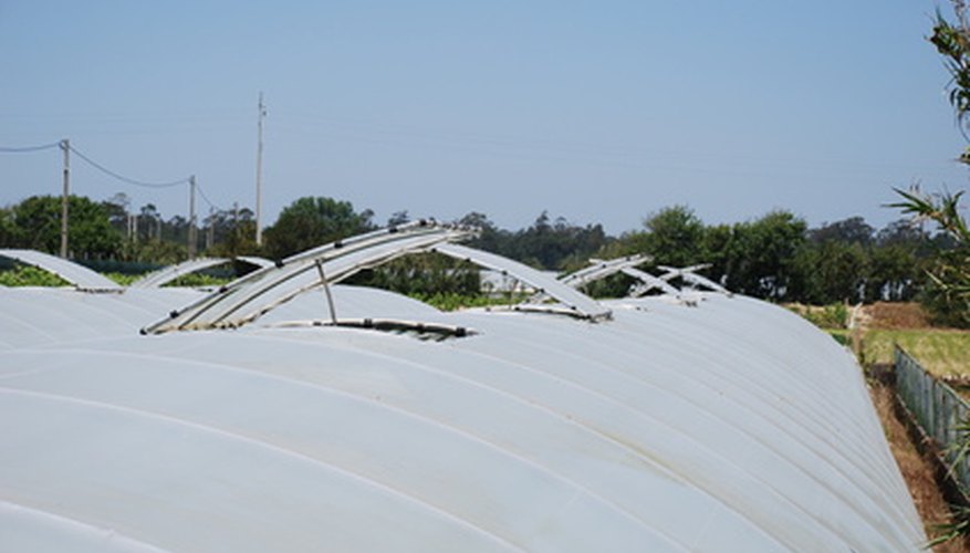 Greenhouse panels are tipped open to ventilate and release heat. Greenhouse panels are tipped open to ventilate and release heat.
