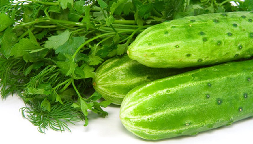 Grow your own cucumbers and herbs. Grow your own cucumbers and herbs.
