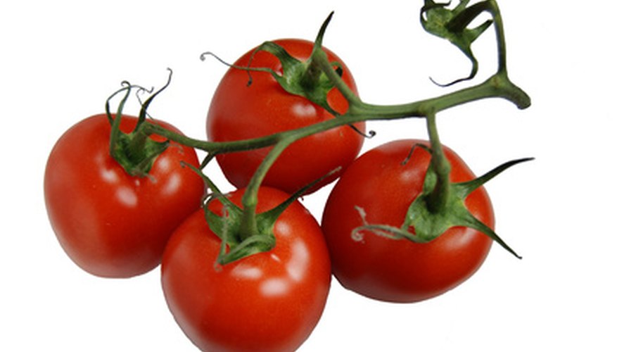 Roma tomatoes are popular plum tomatoes. Roma tomatoes are popular plum tomatoes.