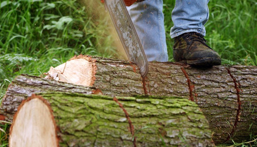 Tree Debarking Tools | Garden Guides