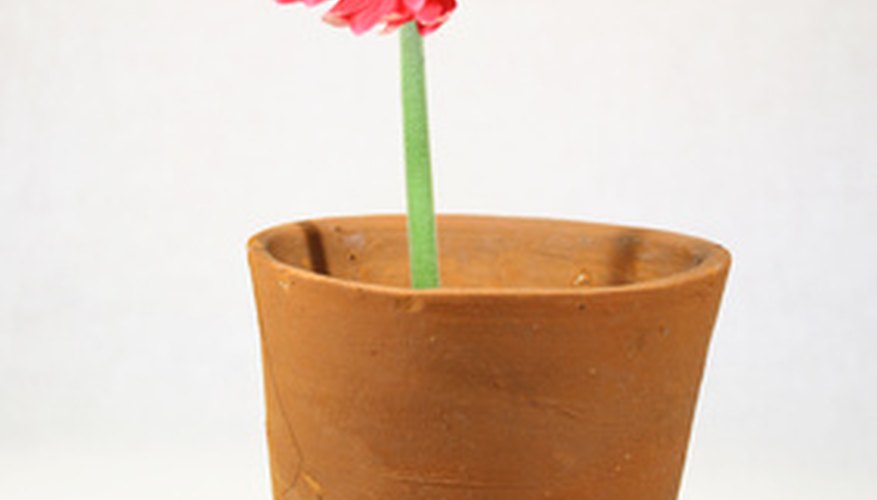 Embellish potted plants with wrapping and bows. Embellish potted plants with wrapping and bows.