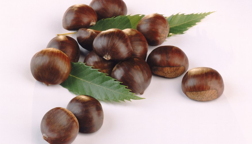 Chestnuts Chestnuts