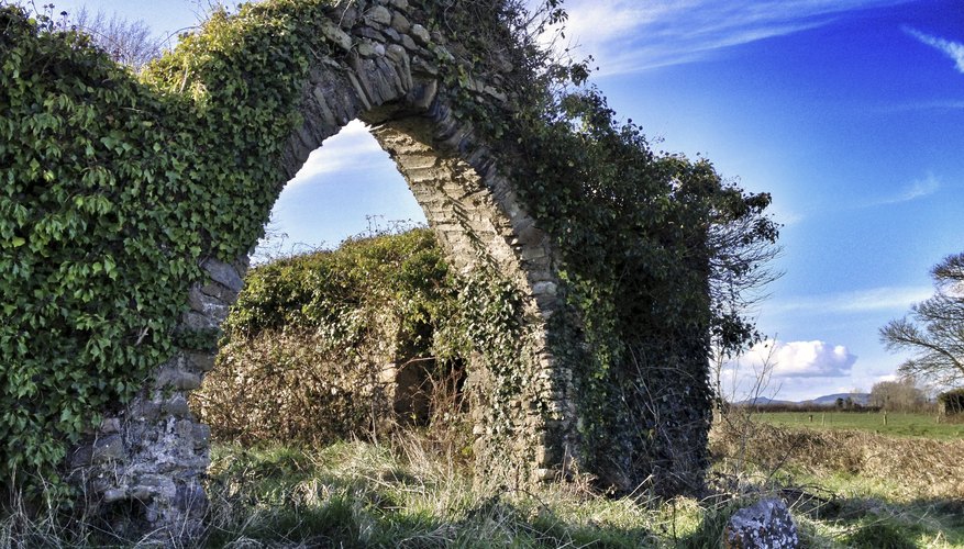 An ancient church wall covered in Irish ivy An ancient church wall covered in Irish ivy