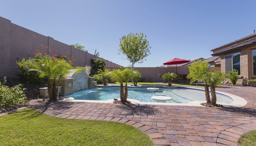 Bermuda grass lawns are grown in desert areas of Arizona. Bermuda grass lawns are grown in desert areas of Arizona.