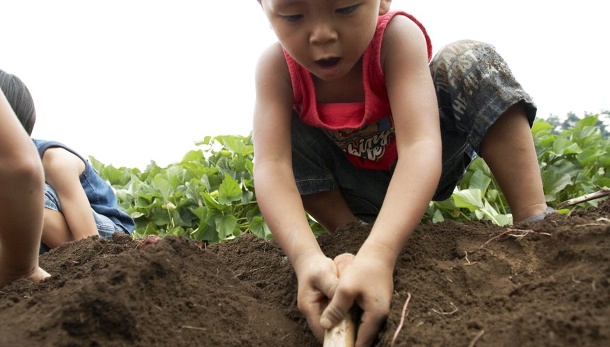 Digging in the dirt is usually safe; making tunnels is not. Digging in the dirt is usually safe; making tunnels is not.