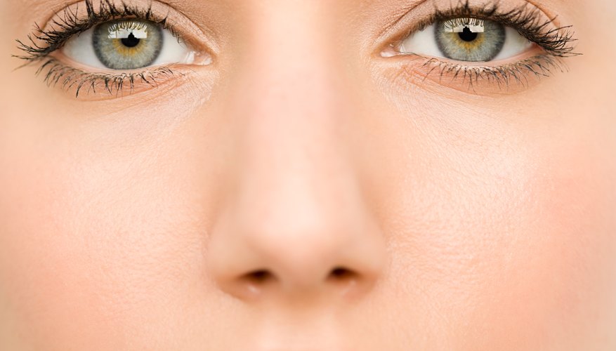 Our senses are a window to the world around us. Our senses are a window to the world around us.