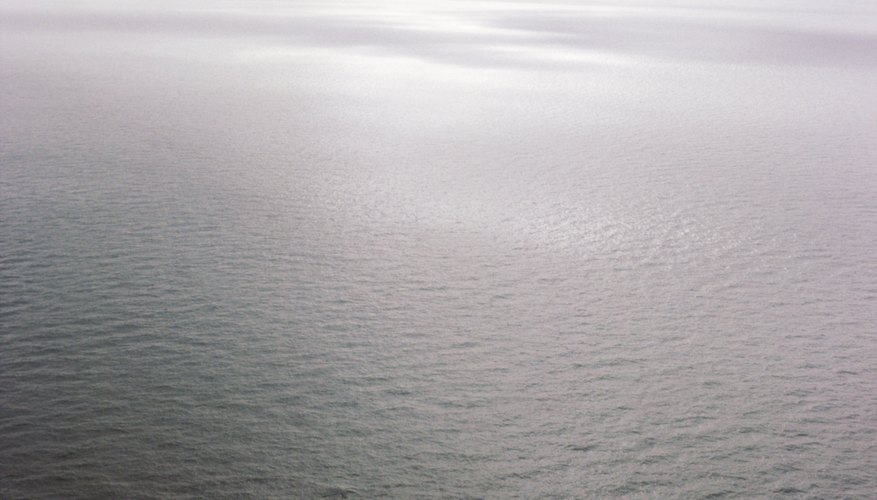 The ocean has a moderating effect on the climate of coastal regions. The ocean has a moderating effect on the climate of coastal regions.