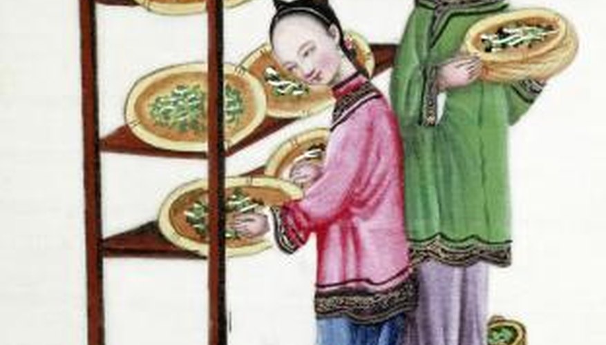 Traditionally, silkworms were raised in baskets. Traditionally, silkworms were raised in baskets.