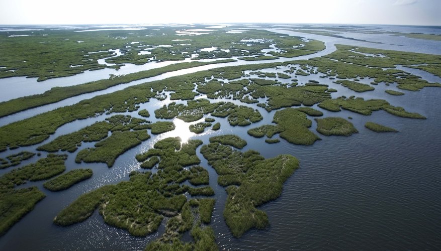 landforms-and-natural-resources-of-the-coastal-plain-sciencing