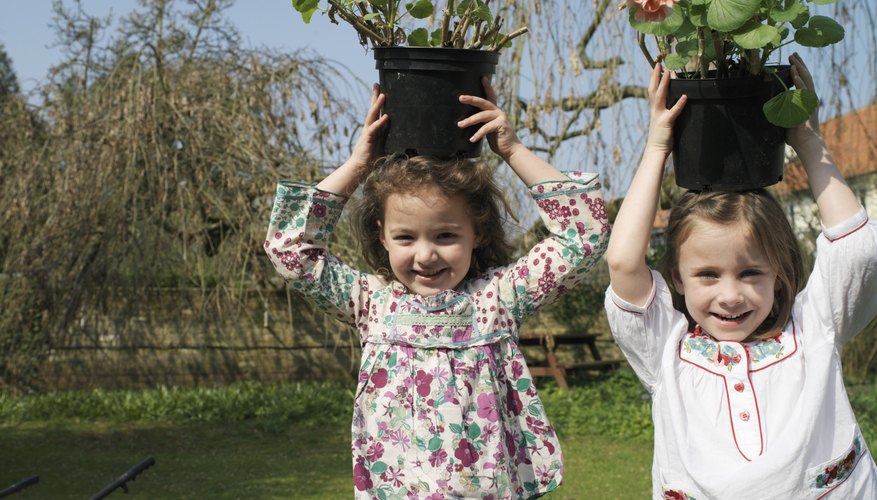 Kindergarteners can learn to count by participating in fun outdoor activities. Kindergarteners can learn to count by participating in fun outdoor activities.