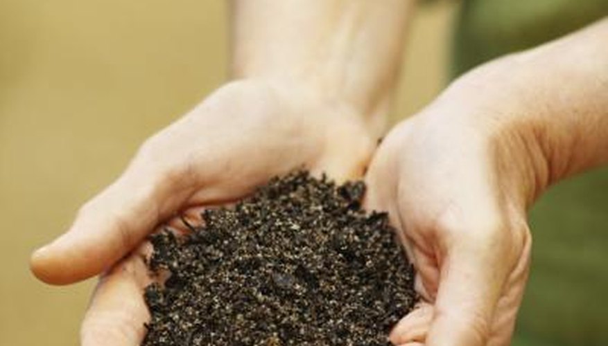 Even small quantities of soil contain millions of bacteria. Even small quantities of soil contain millions of bacteria.