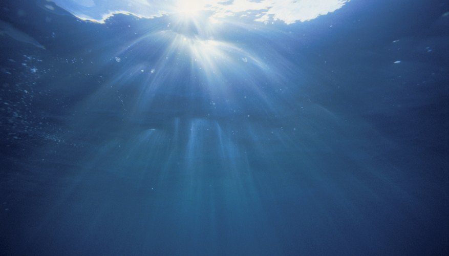 Photosynthesis can proceed in the uppermost depths of the ocean. Photosynthesis can proceed in the uppermost depths of the ocean.
