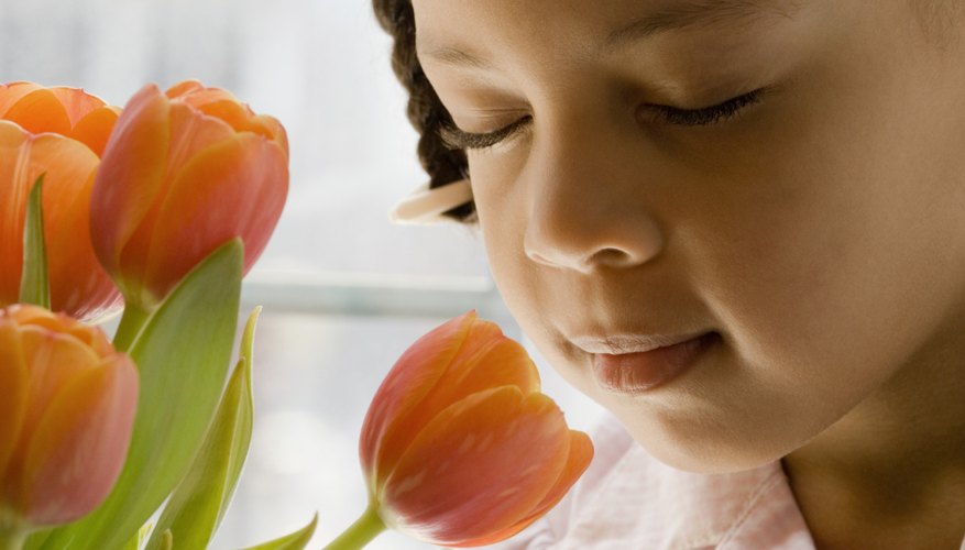 The preschool years are a time for heightened sensory development. The preschool years are a time for heightened sensory development.