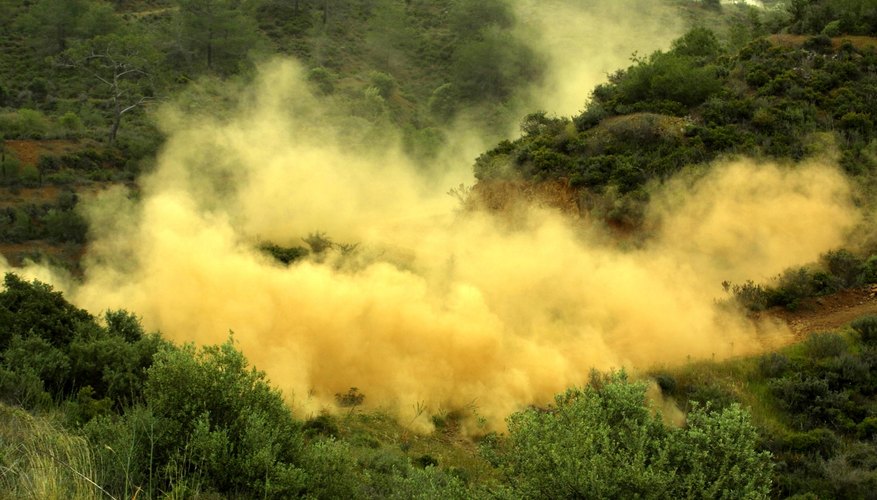 Wildfires are significant disturbance factors in many forest types. Wildfires are significant disturbance factors in many forest types.