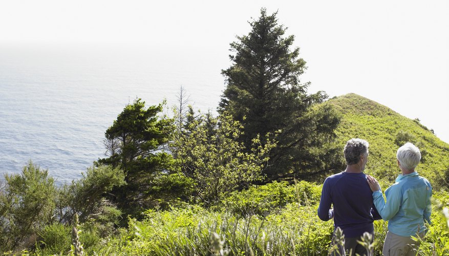Couple looking outward at view Couple looking outward at view