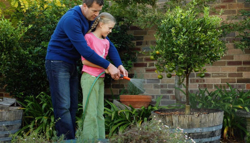 A father and young daughter spraying plants with a garden hose A father and young daughter spraying plants with a garden hose