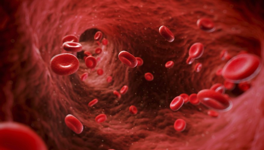 Digital depiction of blood vessel in circulatory system Digital depiction of blood vessel in circulatory system