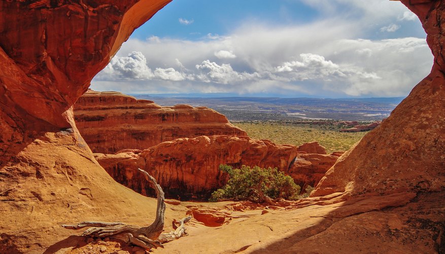 What Are Four Nonliving Things in a Desert Ecosystem? Sciencing