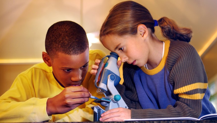 Two young children use a dissecting microscope in school Two young children use a dissecting microscope in school