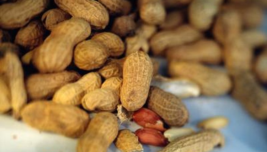 Peanut shells have almost as many uses as peanuts. Peanut shells have almost as many uses as peanuts.