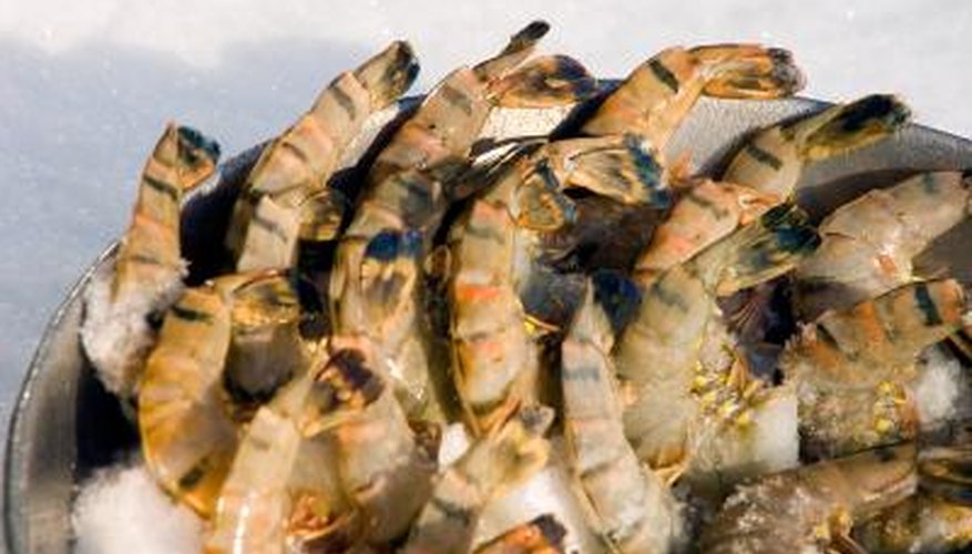Shrimp can be harvested through the use of pots, traps or nets. Shrimp can be harvested through the use of pots, traps or nets.