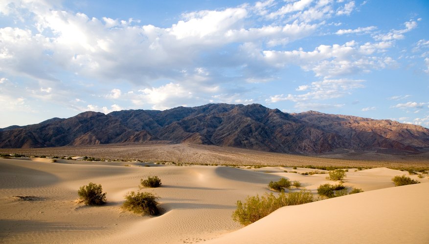 A desert image makes an inspiring jumping-off point for an art project. A desert image makes an inspiring jumping-off point for an art project.
