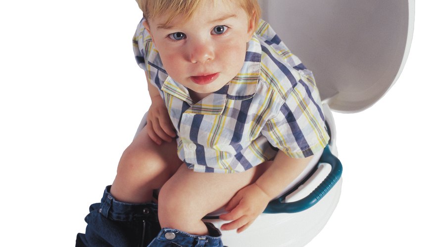 Reward your child for using the potty. Reward your child for using the potty.