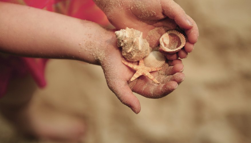 Take the kids to look for shells at Isle of Palms County Park. Take the kids to look for shells at Isle of Palms County Park.