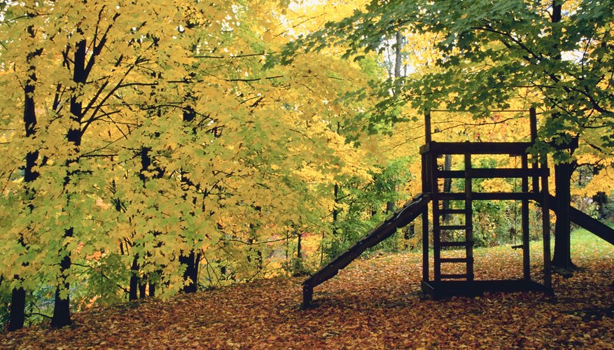 Maintain the brightness of your cedar playset with a waterproofing stain. Maintain the brightness of your cedar playset with a waterproofing stain.