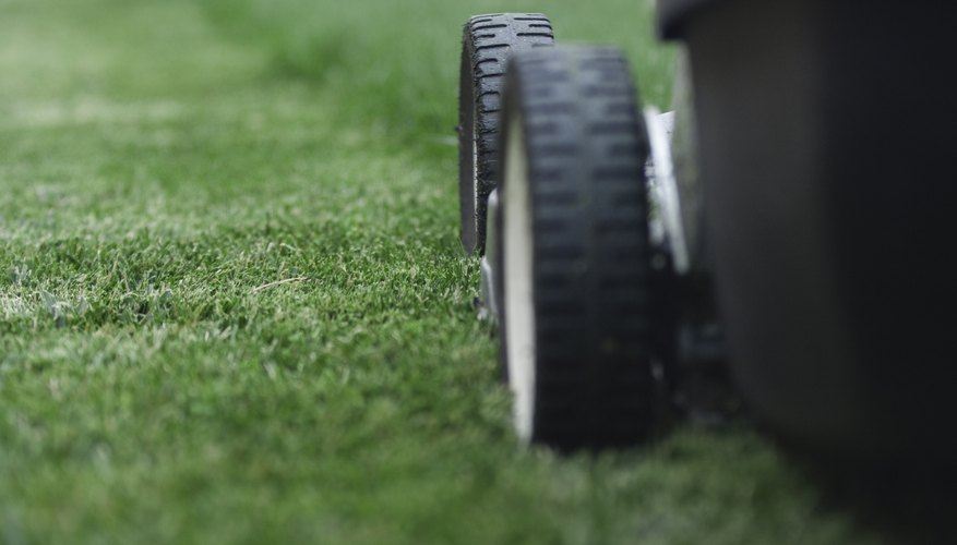 Mowing lawn. Mowing lawn.