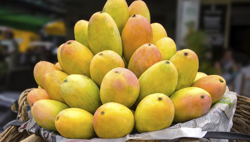 A basket filled with ripe mangoes. A basket filled with ripe mangoes.